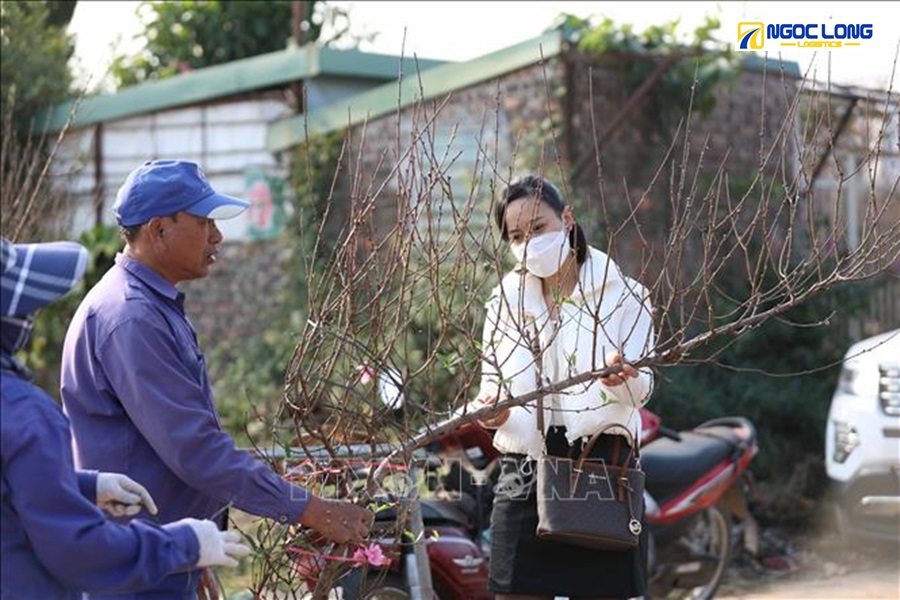 Vận chuyển hoa Tết