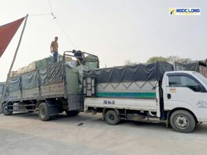 Vận chuyển hàng hóa