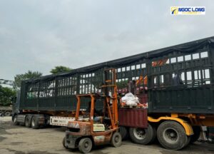 chành xe Hà Nội Bình Định