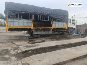 hoa Tết cắm bình