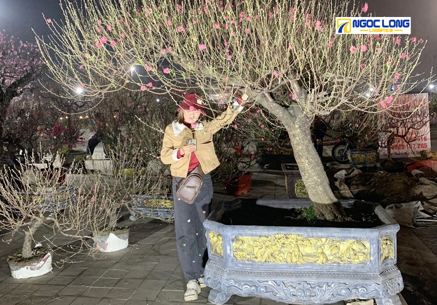 vận chuyển giỏ quà Tết