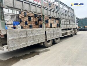 xe vận chuyển hàng hóa