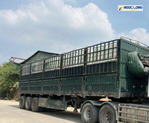 Vận chuyển hàng hóa từ TP.HCM ra Hà Nội